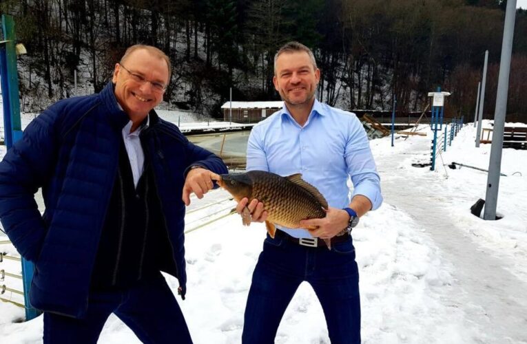 Blíži sa čas novej Pellegriniho snímky s kaprom. Podmienky vianočného predaja sa zmenili