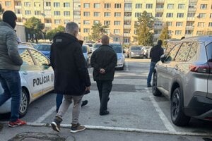 Psychológ o policajnom násilí: Brutálna agresivita šokuje, ale ešte viac správanie kolegu policajta