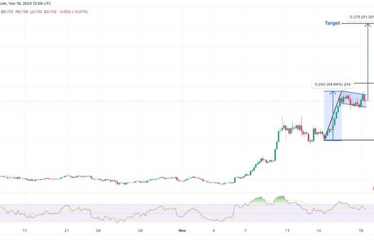 Vzroste cardano na 1,11 USD? Co způsobuje masivní růst ceny?